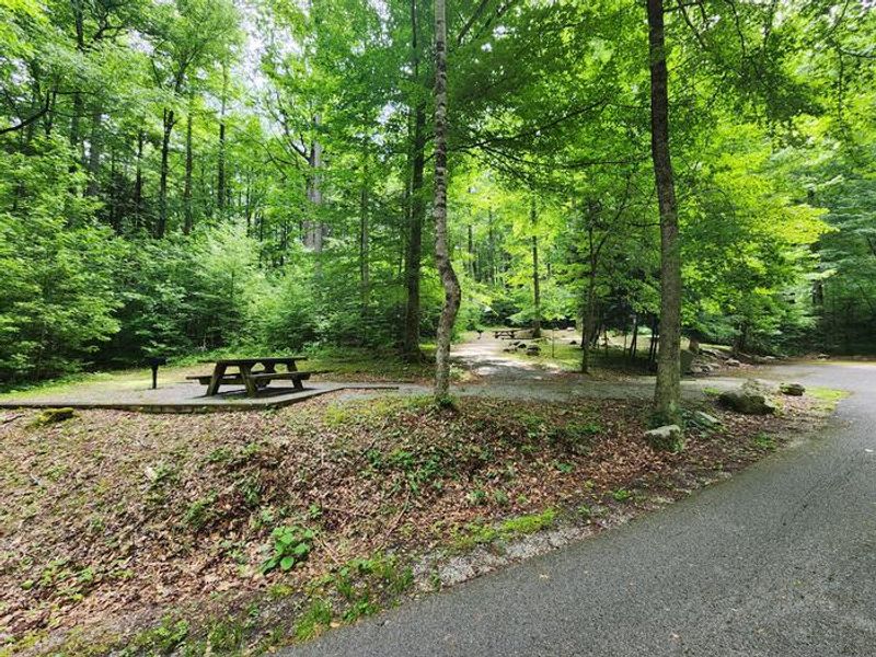 Picnic area in the Upper Day Use Loop.