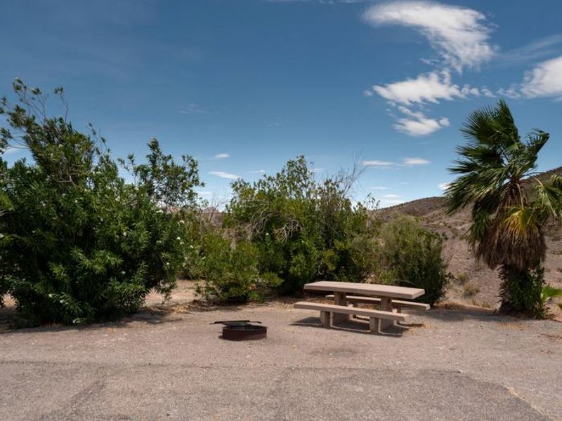 Callville Bay Campground 