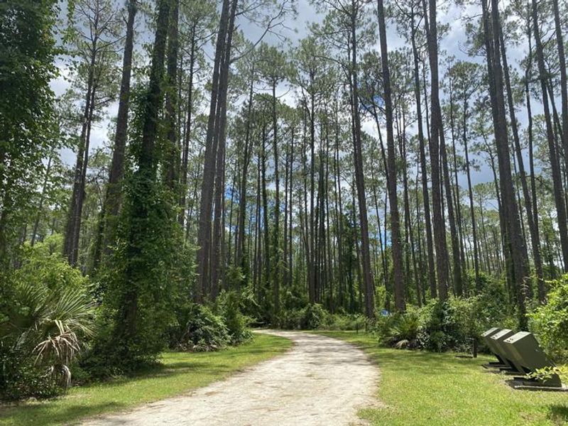 A photo of facility Lake Dorr Campground loop. 