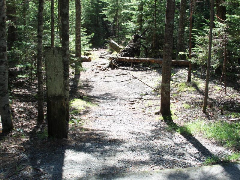 path to Cadillac South Ridge Trailhead (from upper A-Loop)