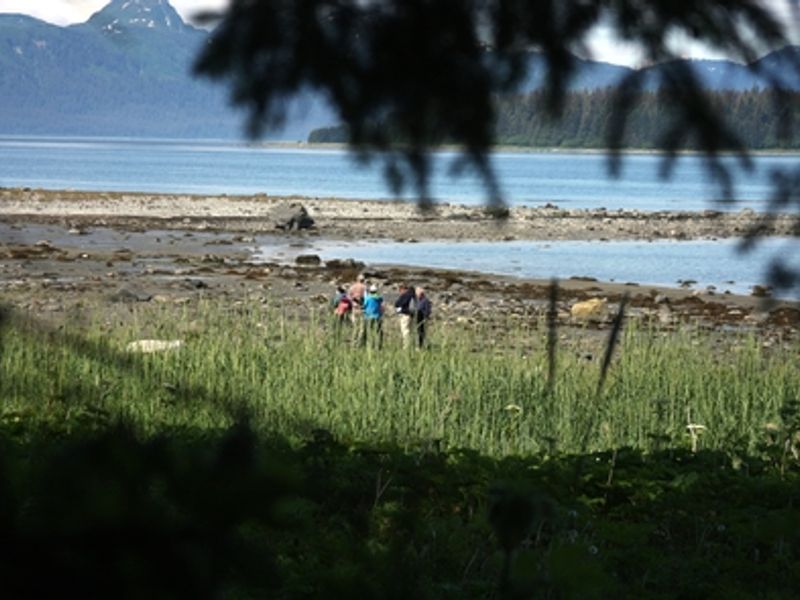 The campground is located along the shoreline in Bartlett Cove.