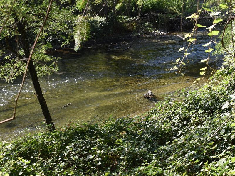 Clear Creek at Peltier Bridge Campground