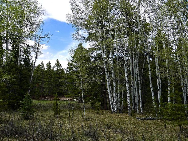 Hettinger Group Area