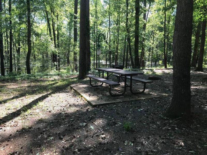 Campsite #10. Tent site with the following amenities: fire-pit, grill, picnic table, lantern pole, trash can.