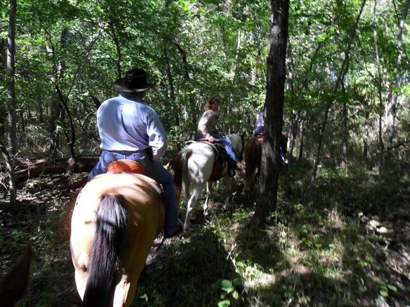 The Shore Shore/ Rockhaven trail is a network of trails totaling approximately 35 miles