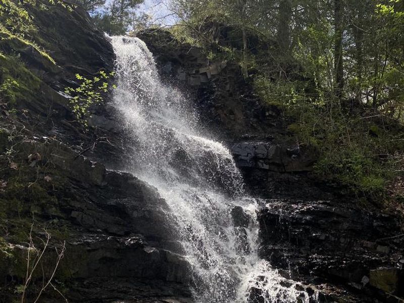 Panther Bluff Falls on Dierks Lake