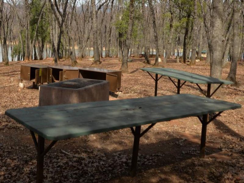 Dry Creek Group Site 1