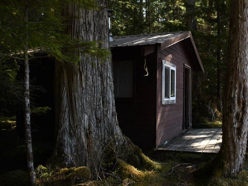 Salmon Bay Lake Cabin
