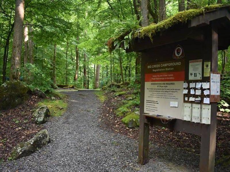 Big Creek is a reservation only campground. Find your camping permit on the registration board or see a camp host. 