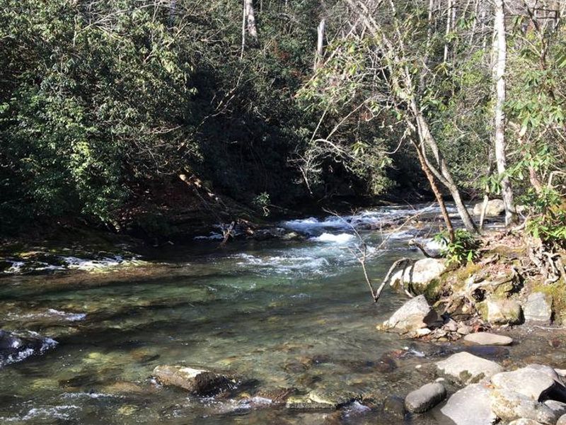 The group campsites have excellent access to the river. 