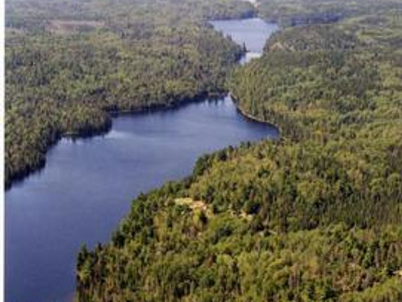 The Locator Chain Of Lakes located in the backcountry of Voyageurs National Park