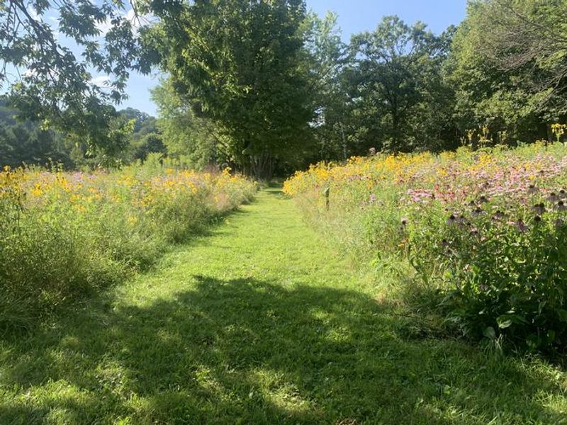 Prairie restoration area path