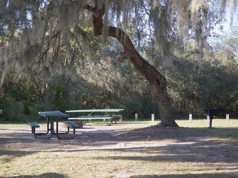 Picnic tables