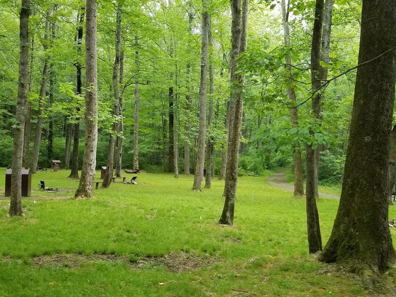 Primitive campsites at Rock Castle Gorge Backcountry Campground