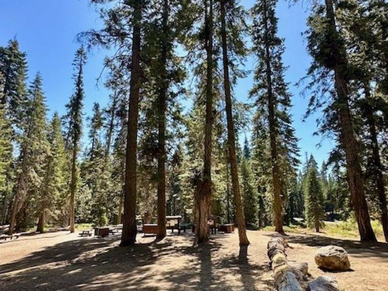 Fir Group Campground
