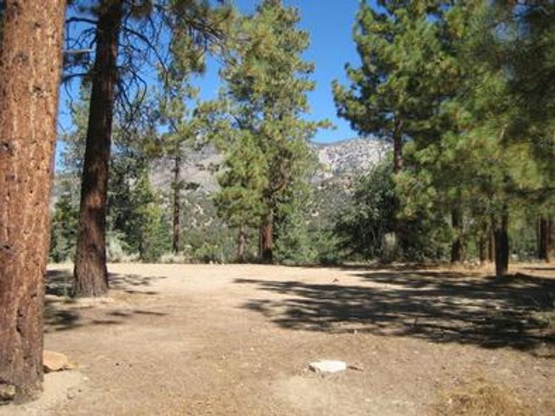 View from Skyline Campground