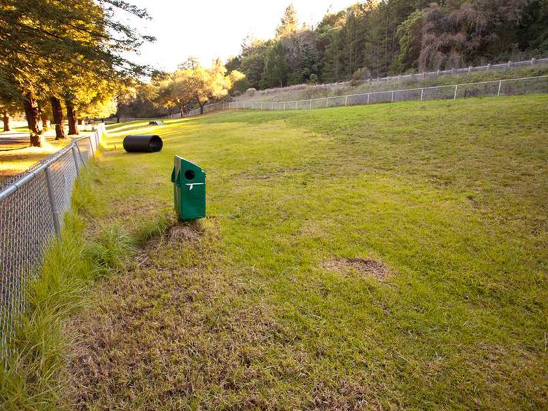 Huge Fenced Dog Park with agility Equipment