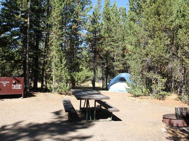 Indian Creek Campground site #48