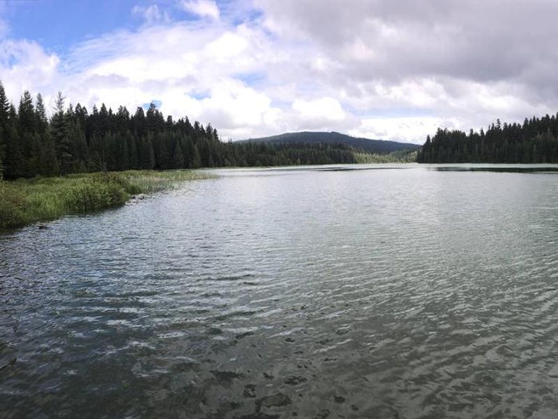 North arm of Timothy Lake