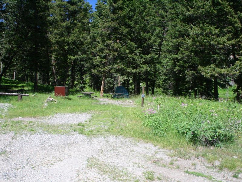 Slough Creek Campground Site #12