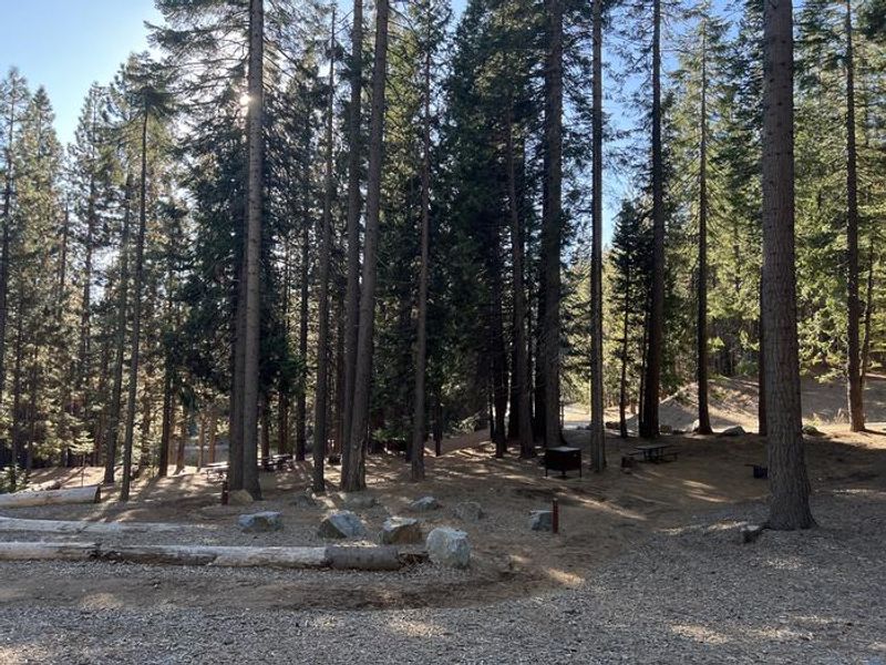 A photo of the walk-in sites at West Point Campground