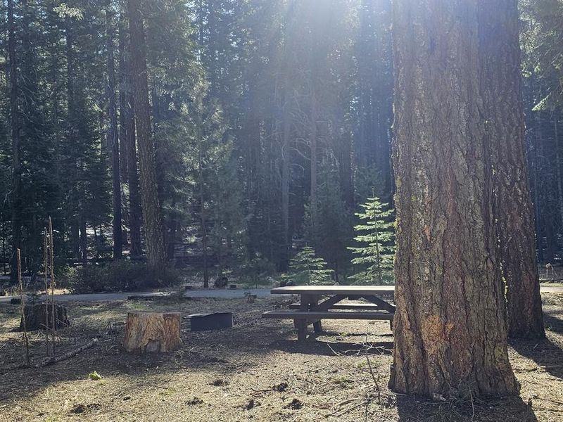 Campsites at Gurnsey Creek are well spaced and unique.
