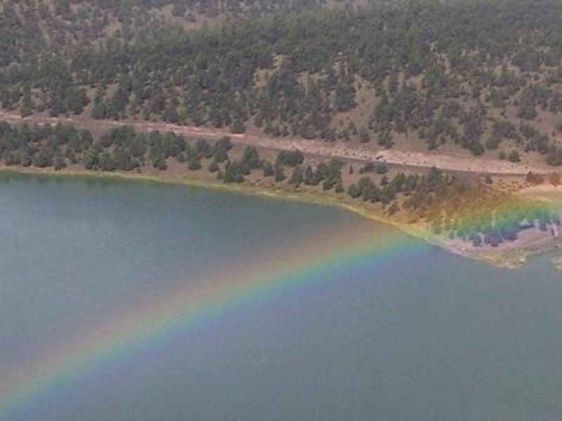 Quemado Lake near Juniper Campground