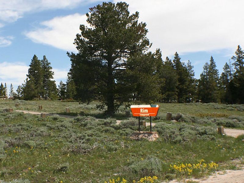 Rim Campground sign