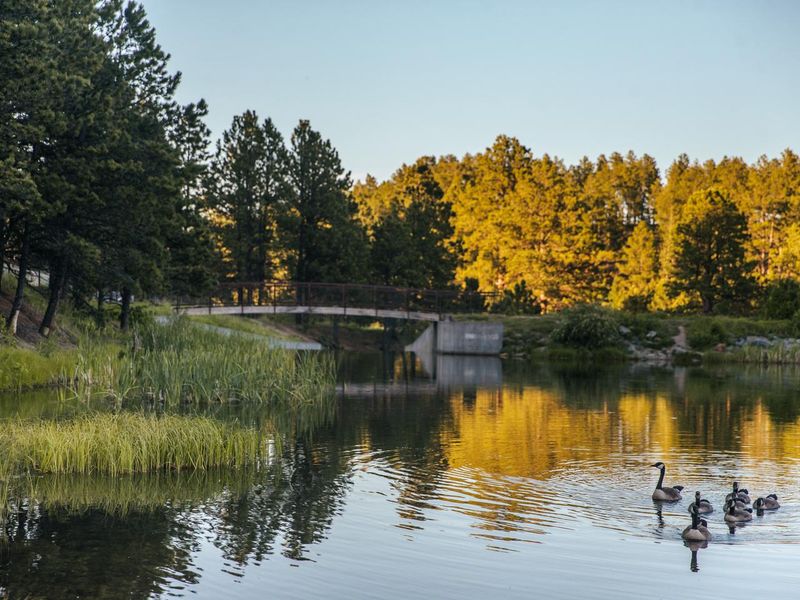 Bridge at Roubaix Lake
