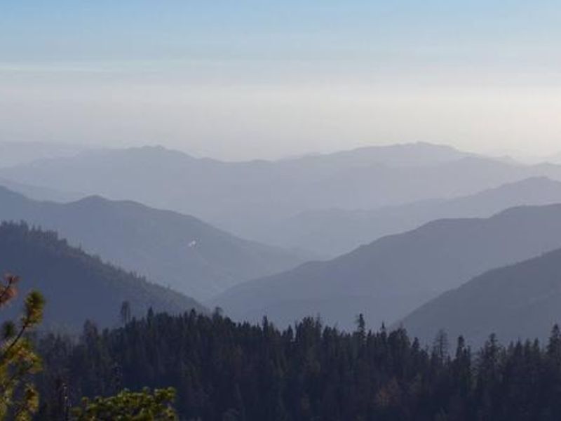 Sequoia National Forest