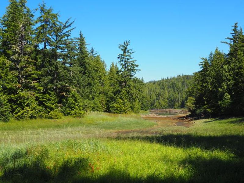View from Steamer Bay Cabin 