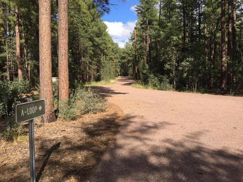 Ponderosa Campground