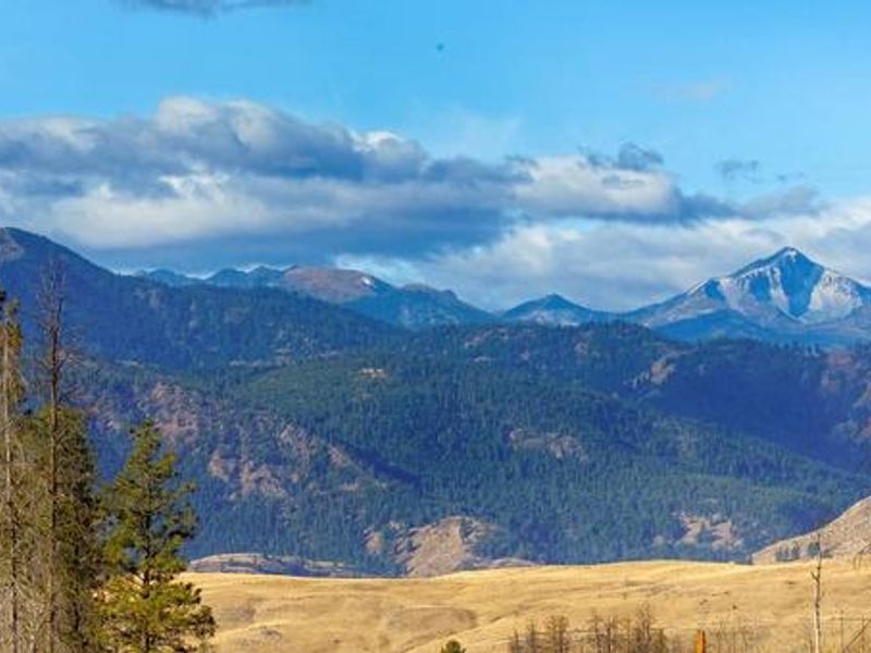 Okanogan-Wenatchee National Forest