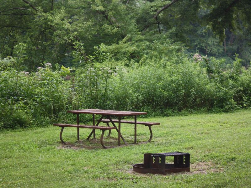 Campsite with picnic table and fire ring