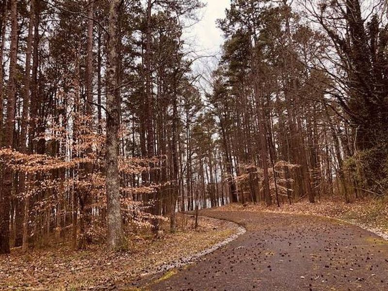 Welcome to Buffalo Park! 