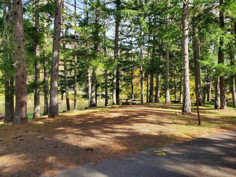 Campsite at Schwarz Park with Row River in the background