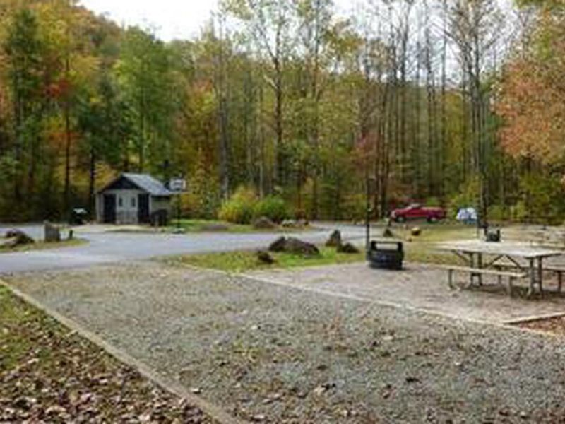 Curtis Creek Campground (NC)