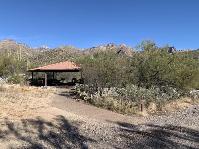 The paved path from the gravel lot to ramada 1.