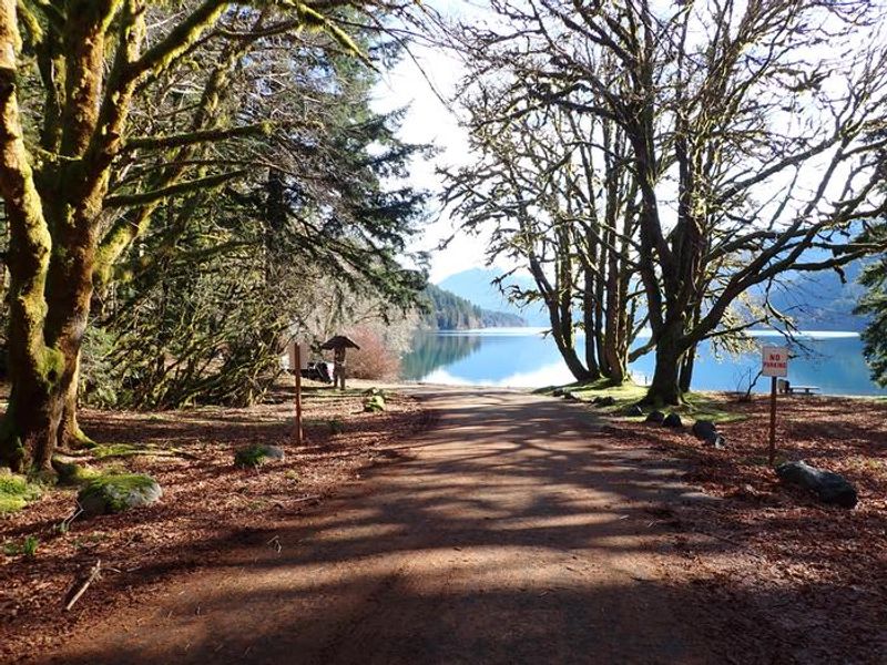 Road that leads to boat launch and dock at Fairholme Campground