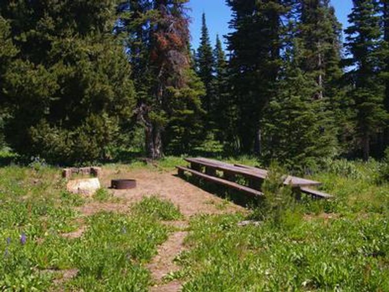 Camping area