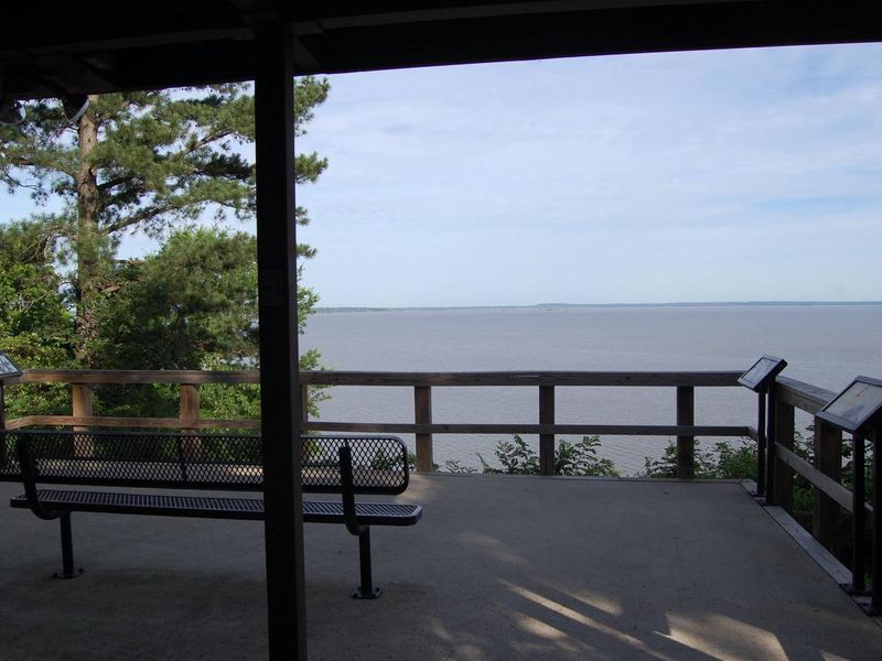 BEARD'S BLUFF PARK BIRDING OBSERVATION DECK