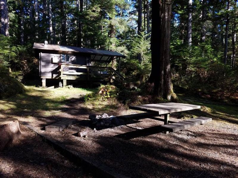 Staney Creek Cabin: Creek Side Picnicing