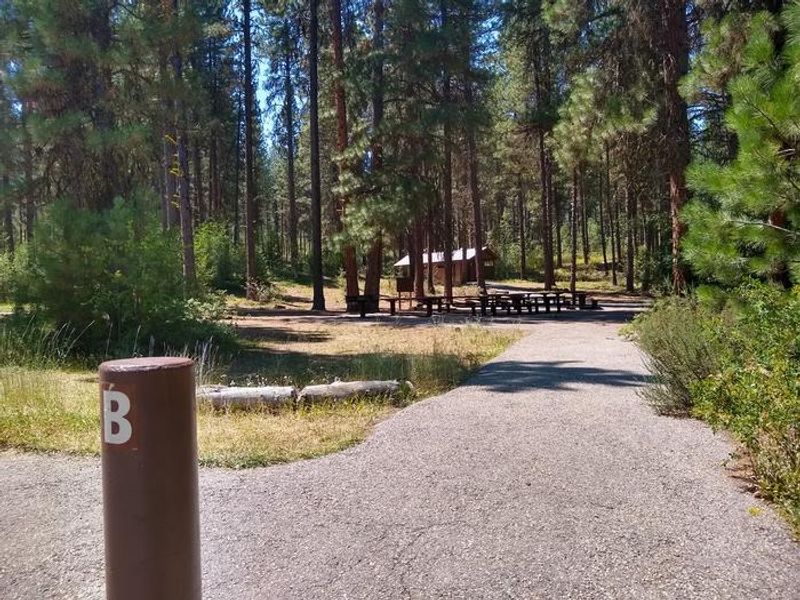 Grayback Group B pathway.