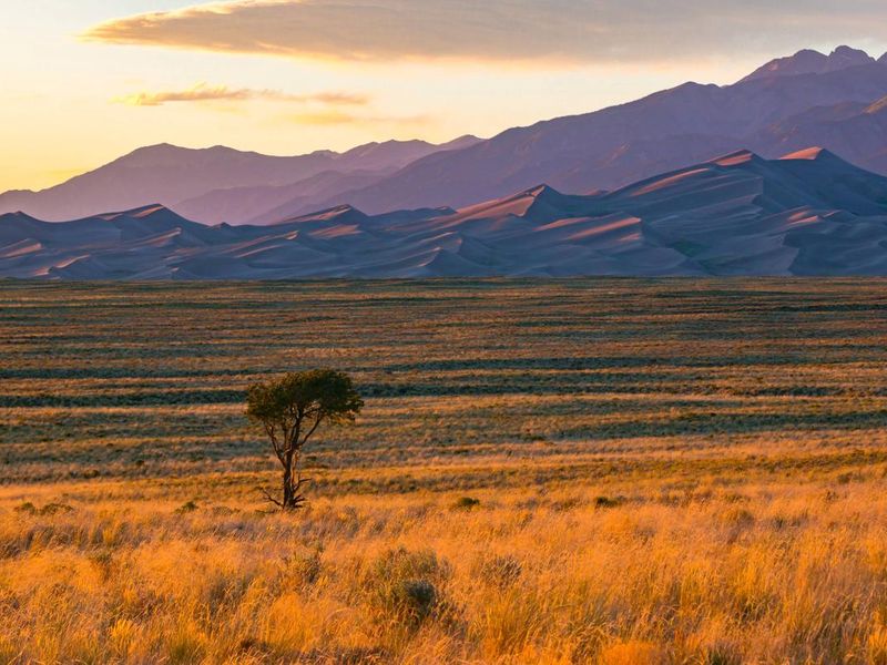 Great Sand Dunes National Park