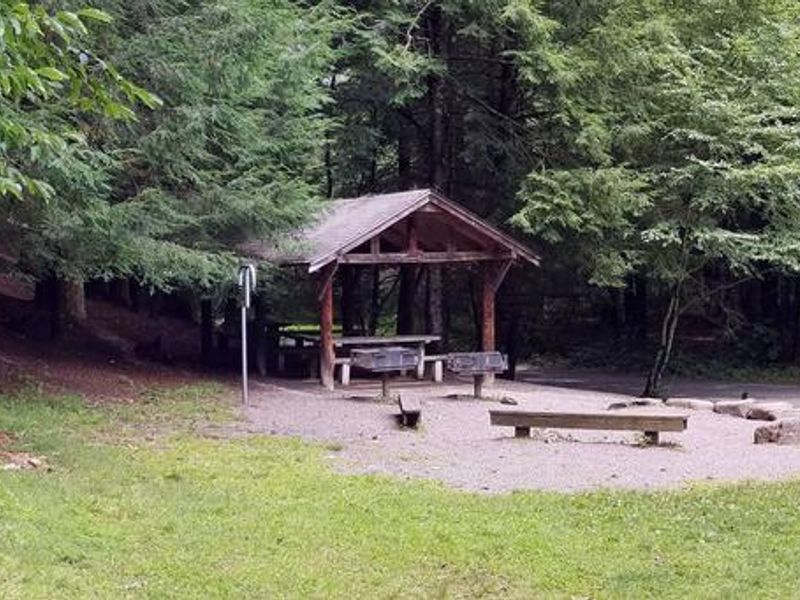 picnic area panorama