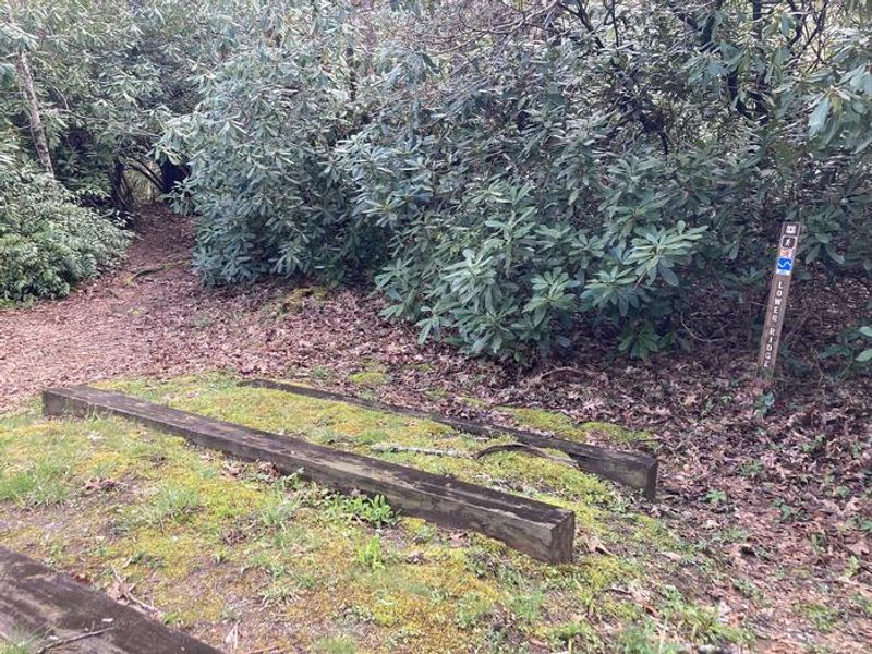 Lower Ridge Trail entrance