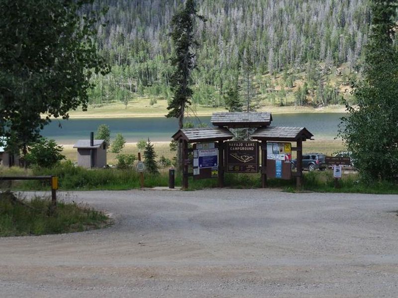 Looking into the campground from the Navajo Lake road.  