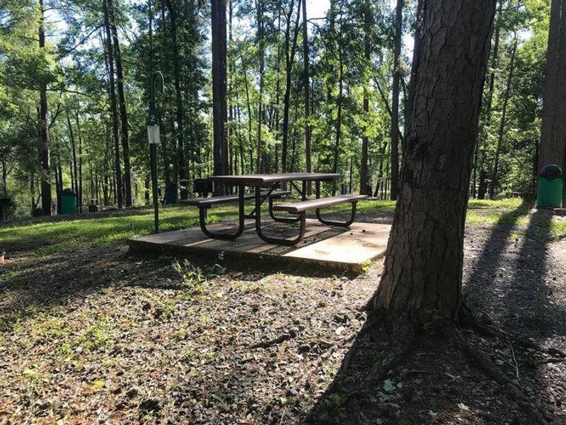 Campsite #2. Tent site with the following amenities: fire-pit, grill, picnic table, lantern pole, trash can.