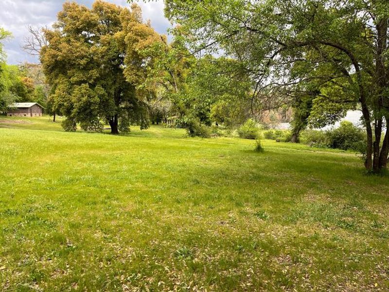 Pomo A Day Use Area grass picnic area.