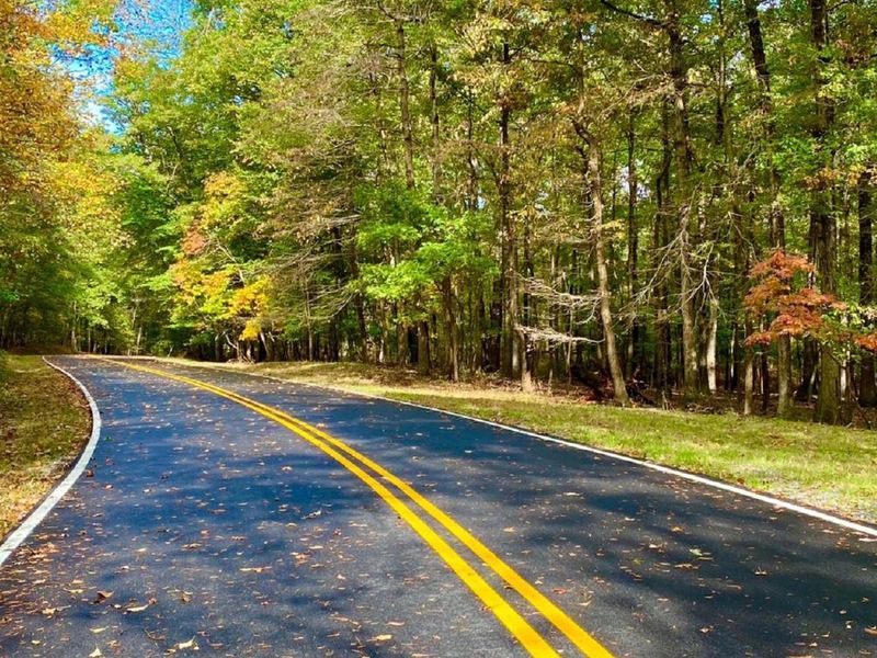 Enjoy a beautiful campsite and new grills in the Urban Oasis just 10 miles from the Nation's Capital 